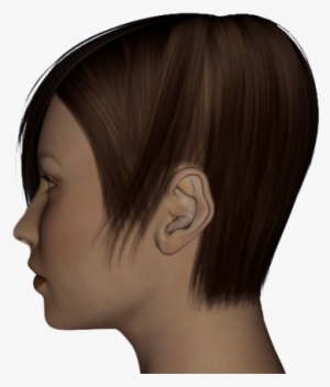 Buddha Ears - Low Set Ears