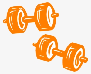 Vector Illustration Of Weightlifting Weight Training, - Weightlifting