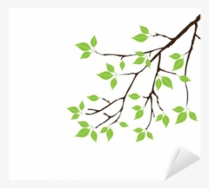 Vector Tree Branch With Green Leaves Sticker • Pixers®