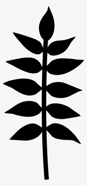 Plant Branch With Leaves Vector - Branch With Leaves Icon
