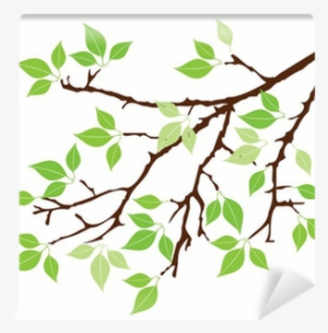 Cliparts Tree Branch