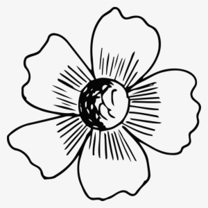 Floral Design Line Art Flower Monochrome Black And - Flower