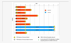 Timeline Showing Mouse Survival And Infectiousness - Fig.1
