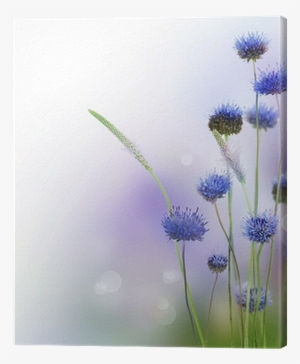 Abstract Flowers Border Design Canvas Print • Pixers® - Life Well Lived Is A Precious Gift