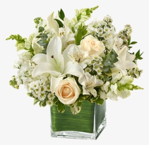 Healing White Flowers In Houston, Tx