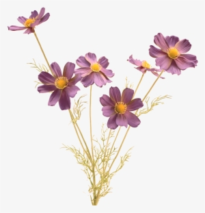 Realistic Flowers Png