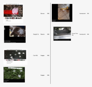 The Hail From That Storm - Hail