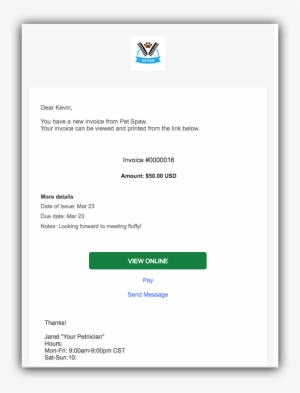 Client View Of The Email - Email