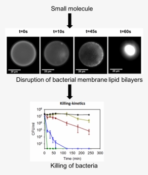 Antibiotic Resistance Continues To Be An Increasingly - Diagram