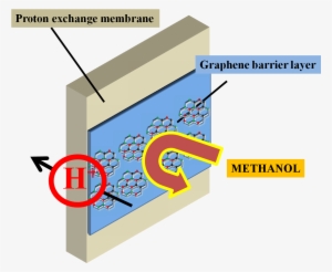 Schematic Showing Proton Transport Through The Membrane - Fuel Cell Direct Methanol Uses