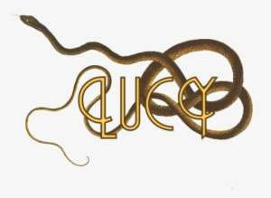 Lucyheader - Coach-whip Snake (coluber Flagellum)