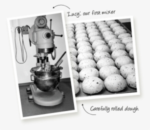 Lucy - Mixer