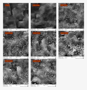 Typical Sem Images Of Initially Rough Silicon Irradiated - Irradiation
