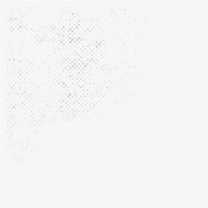 For The Next Twelve Days Leading Up To The Holidays,