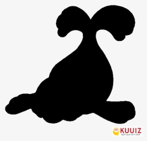 Who's That Pokémon Seel - Seel Pokemon Silhouette