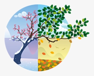 Seasons - Seasons Cycle