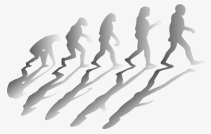 Evolve - Darwin's Contributions