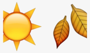 Transparent Background Sun Emoji