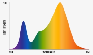 Light Spectrum V02 Flower Spectrum - Plot