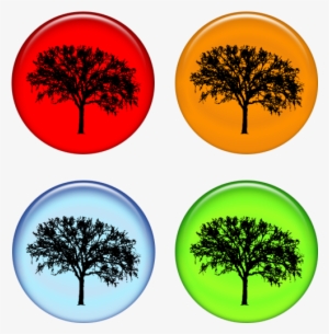 Yes, We Have Seasons - Season