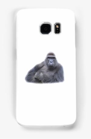 Harambe Logo - Harambe The Gorilla: Dicks Out For Harambe [book]