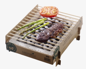 2x Casusgrill - Casusgrillcanada - Disposable Bbq Set