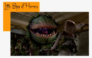 Little Shop Of Horrors Plant