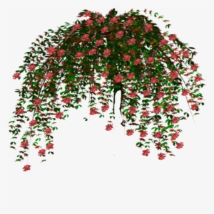 Alpha Tree Lv - Tree