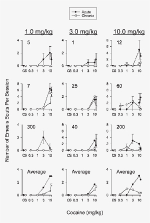 Effects Of Acute And Chronic Cocaine On Emesis - Diagram
