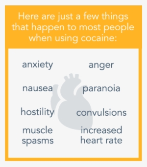 Cocaine's Dangers And Damage To The Body - .org