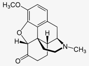 Heroin - Hydrocodone - Opioid Chemical Structure