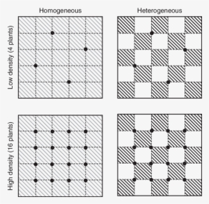 Darkly Shaded And Unshaded Squares Represent High And - Bracelet