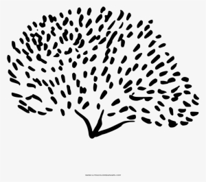 Arbusto Página Para Colorear - Line Art