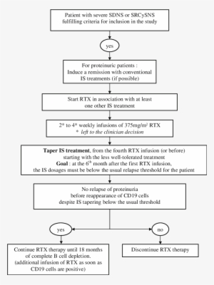 Therapeutic Guidelines For The Open Study - Therapy