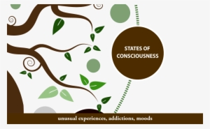 Have You Or A Loved One Ever Lost The Ability To Know - History Tree Of Psychology