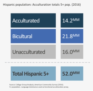 Incorporating Language Use, Self Identity, And Language - Marketing