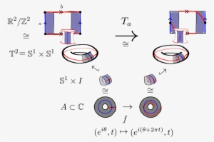 Dehn Twist For The Torus - Dehn Twist