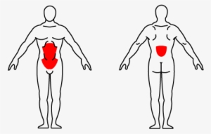 Kettlebell Russian Twist - Kettlebell Around The Body Muscles