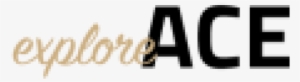Explore Ace Logo Gold Black - 5+