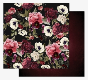 848896 - Garden Roses