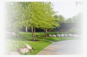 Custom Landscaping Projects In St Louis Mo - Birch Trees Landscaping