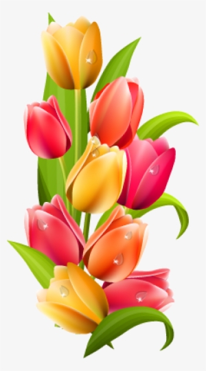 Tulip Png
