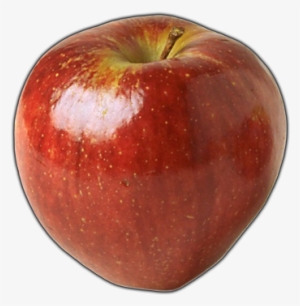 Apples Bananas Oranges Grapes Png Graphic Black And - Apples Are Blue By Peggy Blood