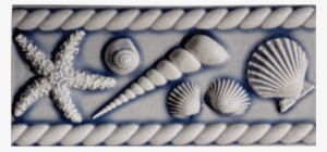 3 1/4" X 8" Seashell Border