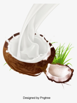 Delicious Coconut Creative Material Design, Coconut, - Coconut