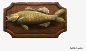 Big Mouth Bass Trophy - Carp