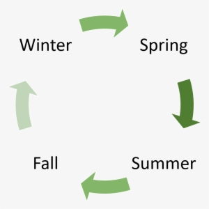 Goodbye Summer Png - Phage Display Life Cycle