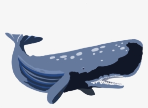 Whale