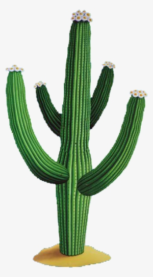 Cactus Free Png Download Vector - Mexican Cactus