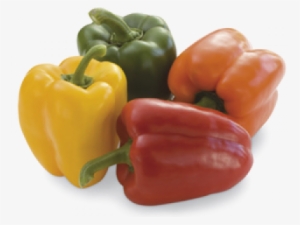 Vegetable Png High-quality Image - Fresh Vegetable